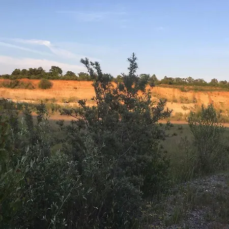 Zwischen Wald Und Reben Апартаменты *