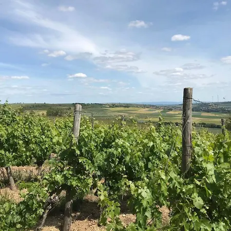 Апартаменты Zwischen Wald Und Reben