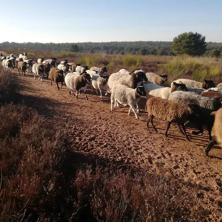 Zwischen Wald Und Reben Апартаменты