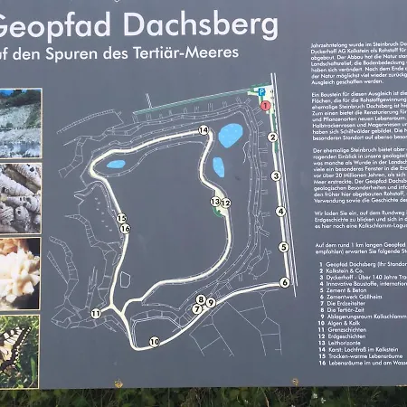 Апартаменты Zwischen Wald Und Reben *