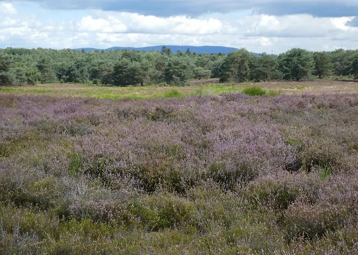 Zwischen Wald Und Reben アパート Göllheim