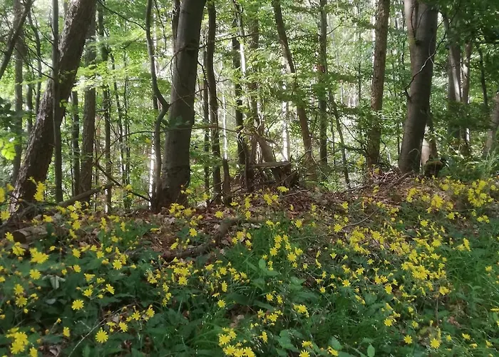 アパート Zwischen Wald Und Reben *