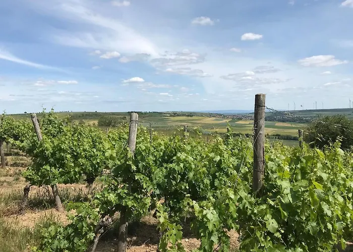 アパート Zwischen Wald Und Reben