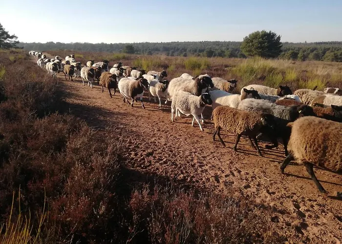 Zwischen Wald Und Reben アパート